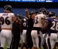 Baltimore Ravens training camp fight
